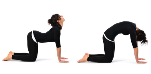 Cách tập Yoga giảm cân tại nhà