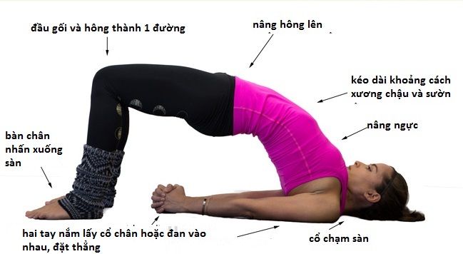Những bài tập Yoga cơ bản cho người mới