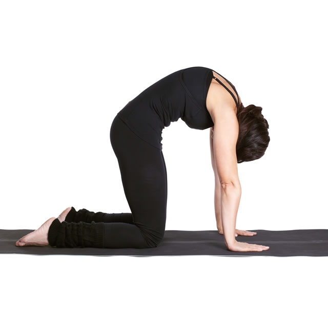 Tìm gia sư dạy Yoga tại nhà ở đâu?